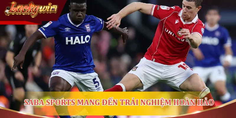 Sảnh Saba Sports mang đến những trải nghiệm hoàn hảo cho người yêu thể thao